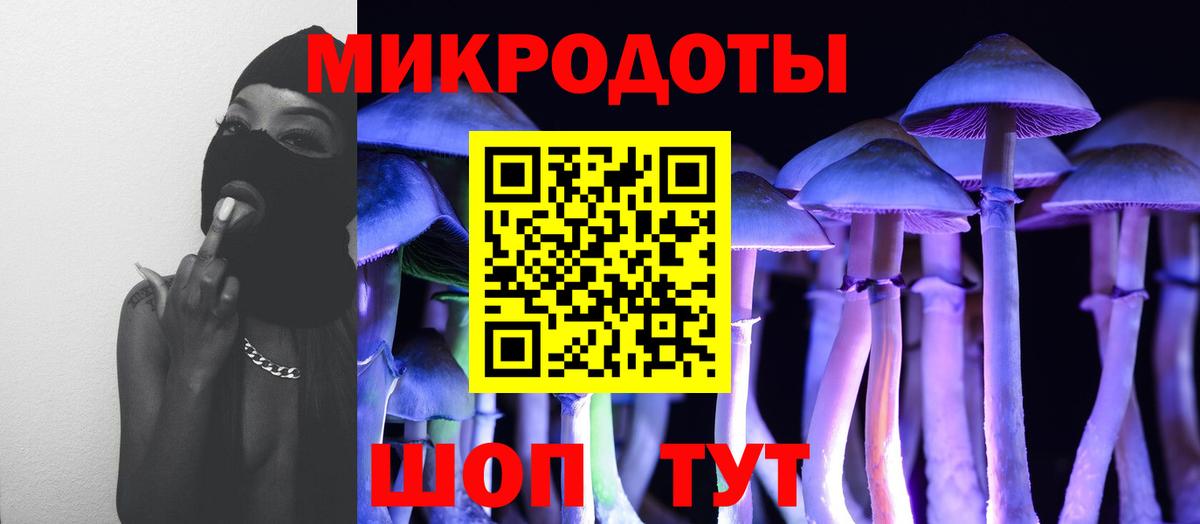 Галлюциногенные грибы ЛСД  Вход с VPN  Новочебоксарск  Галлюциногенные грибы GOLDEN TEACHER 
