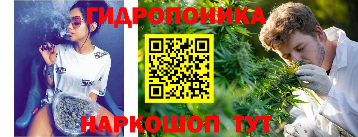 Бошки Шишки гибрид  Марихуана AK-47  Новочебоксарск  Бошки Шишки AK-47  Вход с VPN 